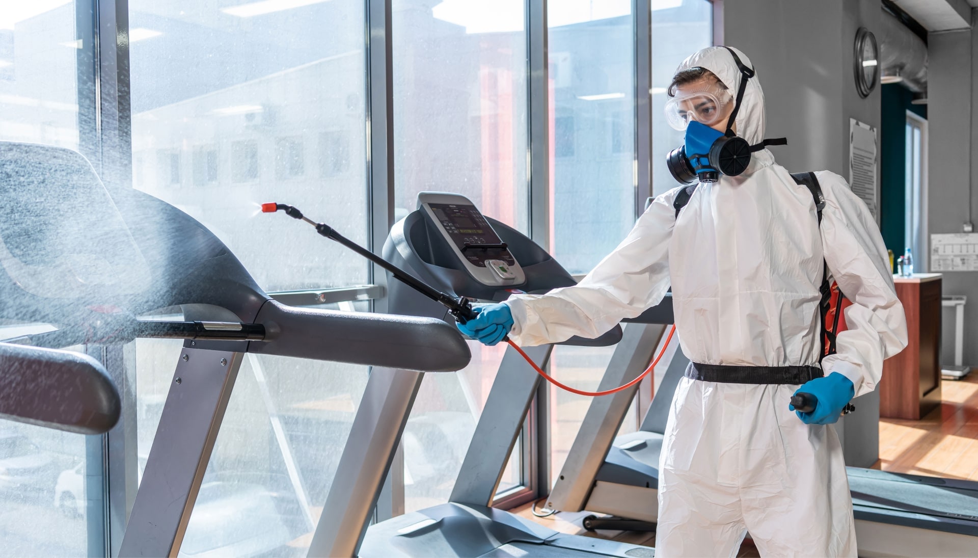 Commercial Mold Removal Services in Hamilton
