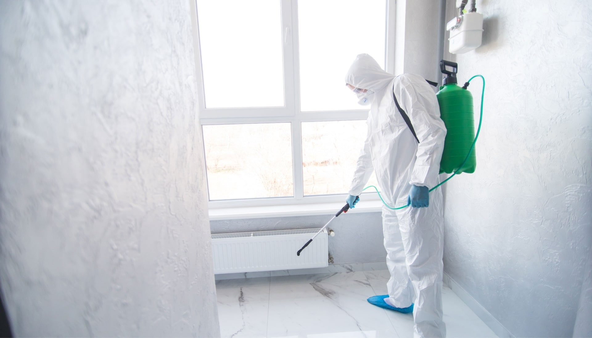 Mold Inspection Services in Hamilton